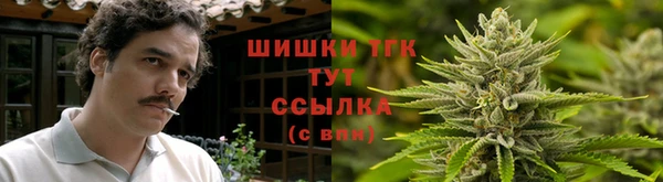 гидра Лабытнанги