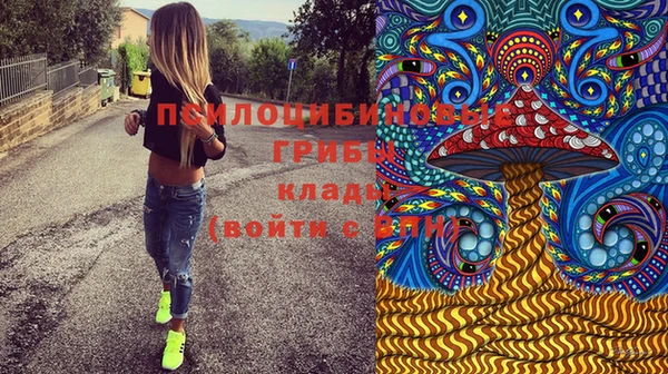 марки nbome Ладушкин