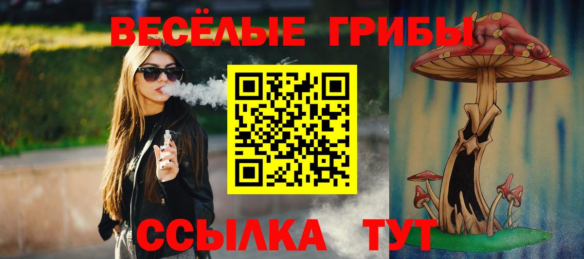 Карабулак  Галлюциногенные грибы Psilocybine cubensis  Псилоцибиновые грибы Psilocybine cubensis  Вход с VPN 